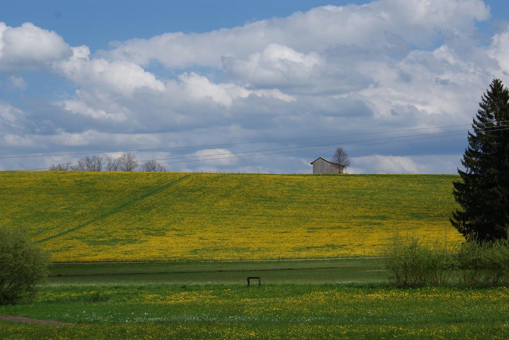 Landhaus Grobert Seeg Exterior foto